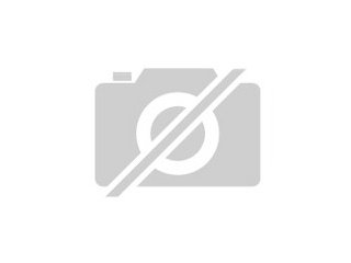 Bob Ross Malkurse in Hessen Landschaft und Blume
